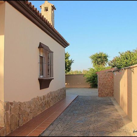 Villa Mi Oasis à Conil De La Frontera Extérieur photo