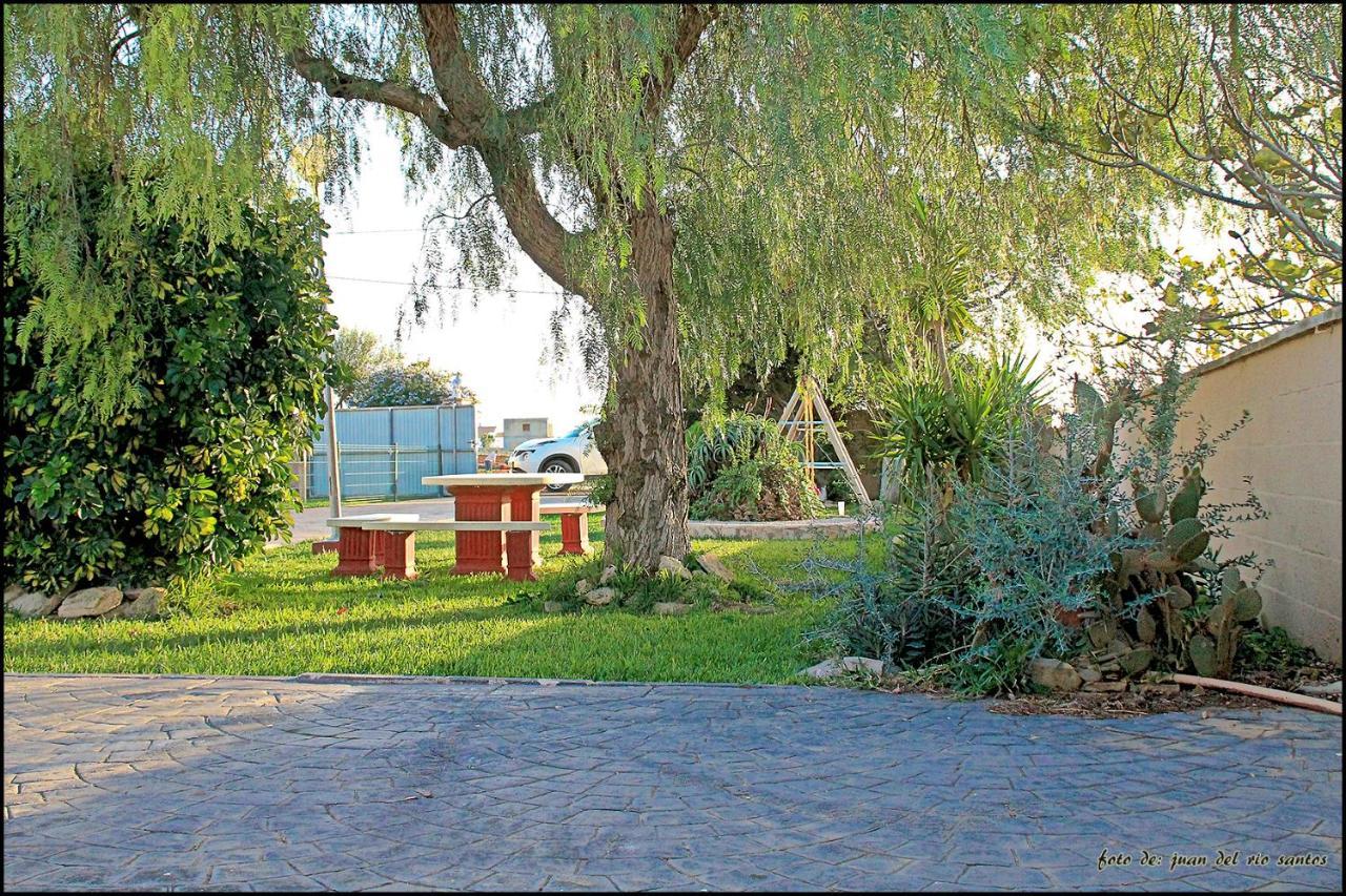 Villa Mi Oasis à Conil De La Frontera Extérieur photo