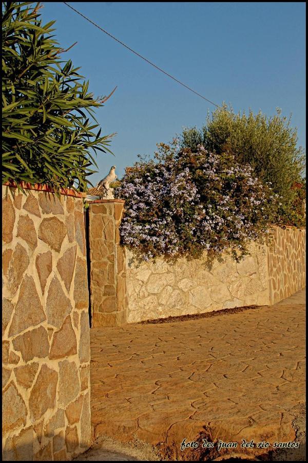 Villa Mi Oasis à Conil De La Frontera Extérieur photo