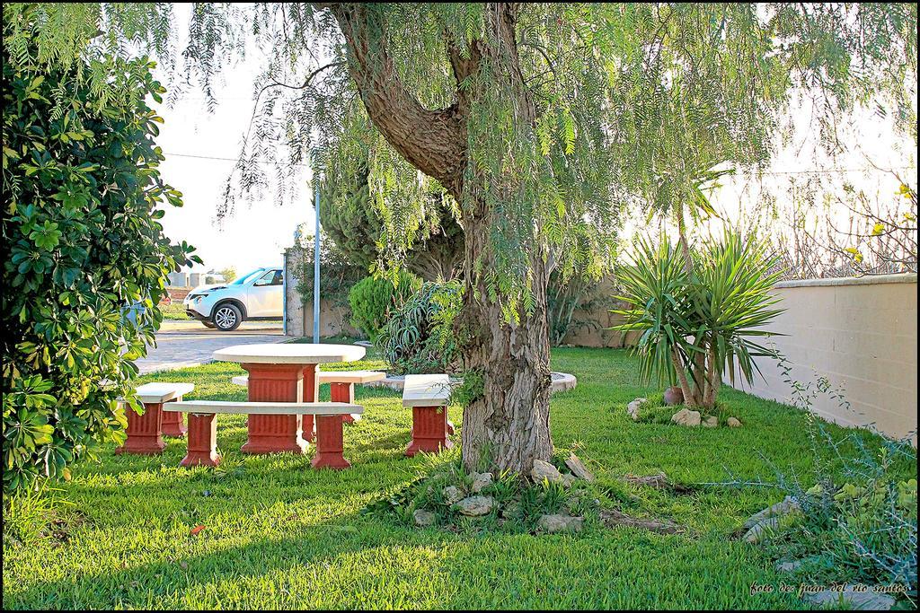 Villa Mi Oasis à Conil De La Frontera Extérieur photo